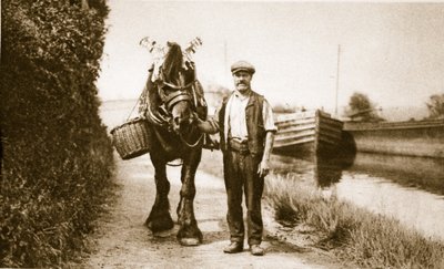 A horse ready to pull a canal barge, London by English Photographer